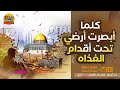 نشيد كلما أبصرت أرضي تحت أقدام الغزاه جودة عالية نشيد كلما أبصرت أرضي تحت أقدام الغزاه جودة عالية