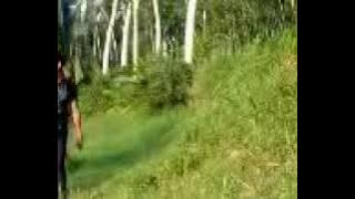 Lagu sasak terbaru Telu balit