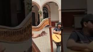 Disfruta de la magia musical! Mariachi Alma de Plata de Zacatecas ensayando una melodía encantadora