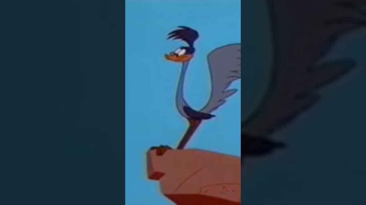 roadrunner cartoon vs reality 