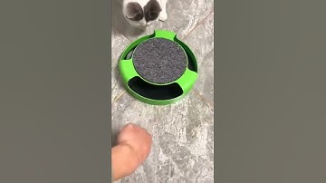 Pet Interactive Mouse Turntable Toy If you