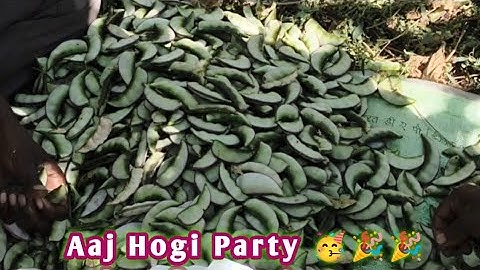 Day 49 of #49/365 Days video uploading challenge #vlog #youtube #minivlog #viral 