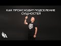 КАК ПРОИСХОДИТ ПОДСЕЛЕНИЕ СУЩНОСТЕЙ — Михаил Агеев