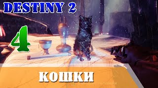 Все 4 звездные кошки Destiny 2 триумф