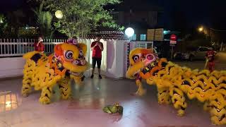 Lion Dance for Chinese New Year 2023