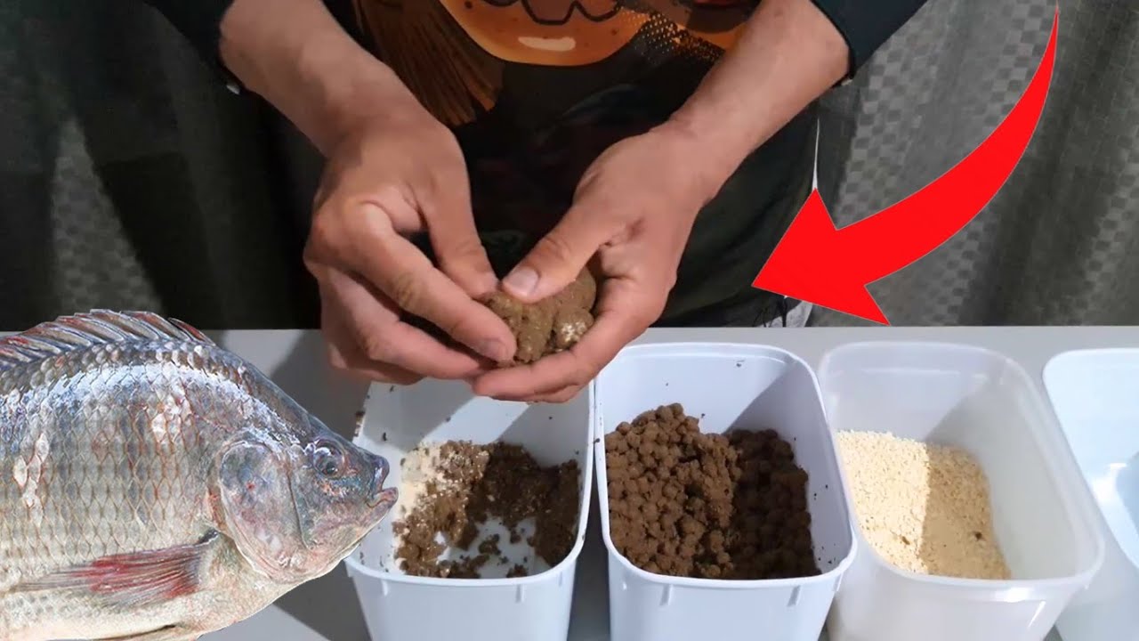 MELHOR MASSA PARA PESCAR TILÁPIA! FÁCIL E MUITO BARATO!! YouTube MELHOR MASSA PARA PESCAR TILÁPIA! FÁCIL E MUITO BARATO!! YouTube