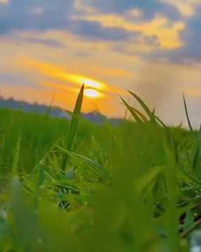 Story WA Senja Sore Hari