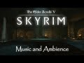 The Riften Thieves Guild Welcomes You (Skyrim music and ambience to chill to)