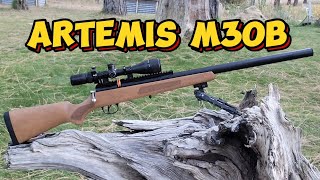 Artemis M30B 🏯 22 cal the affordable man's FX DRS #artemis #fun #airgun #pcp