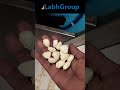 Video Image