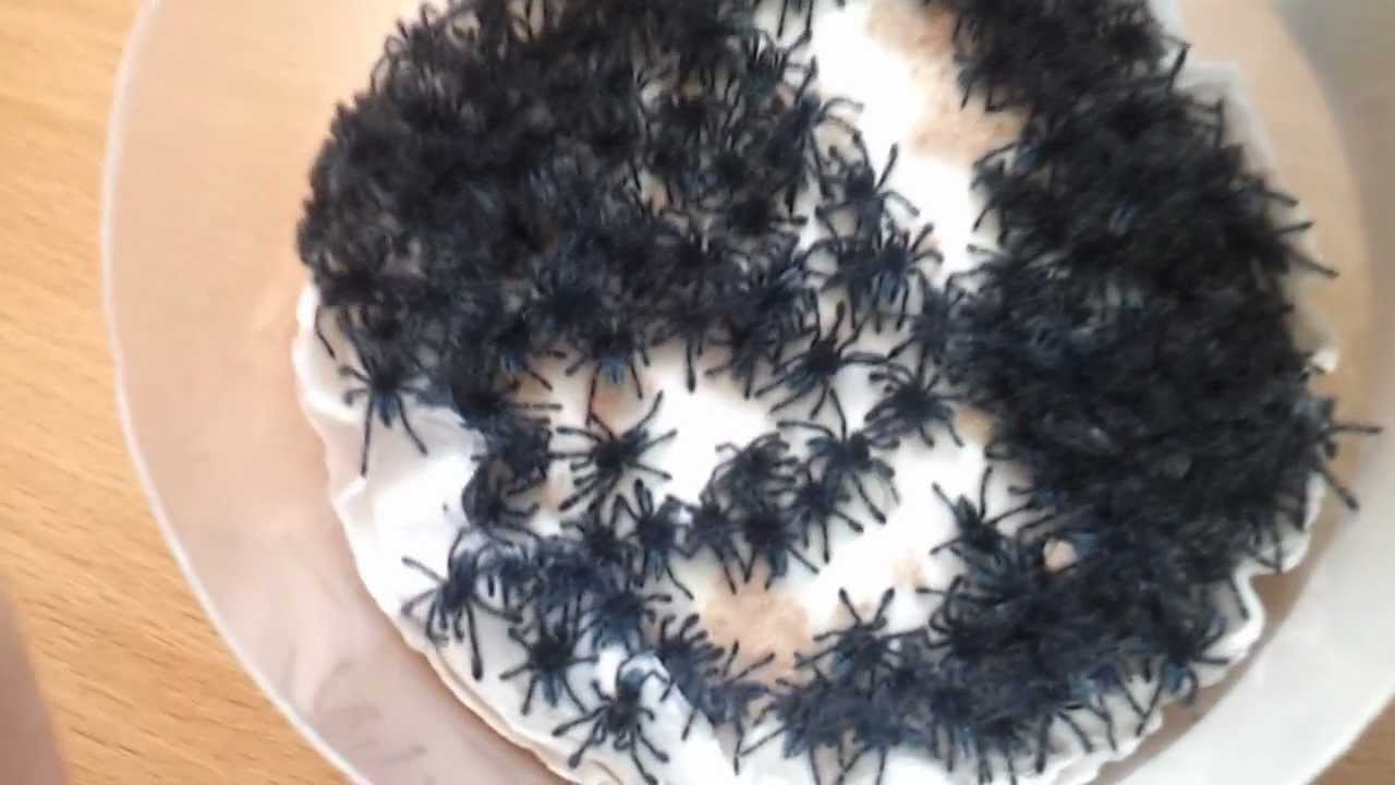 Avicularia versicolor slings