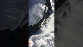 Cold Start My Artic Cat 660 Turbo ST 4 Stoke -24