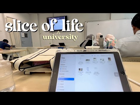 slice of life (as a final year student)