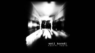 Esti Kornél - Ha ébren volnál chords