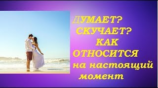 Думает...? Тоскует..? Как относится сегодня? 4 варианта гадание на картах Таро Думает...? Тоскует..? Как относится сегодня? 4 варианта гадание на картах Таро