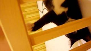 SDC13309.AVI