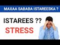 Maxaa Sababa Istareeska Stress Ka Sidee Ayaa Loo Daaweeyaa Istareeska Stress Maxaa Sababa Istareeska Stress Ka Sidee Ayaa Loo Daaweeyaa Istareeska Stress