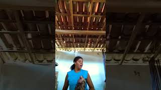 26 De Novembro De 2022