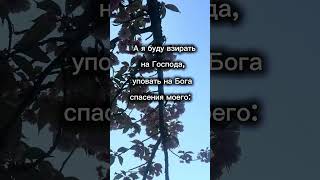 Библия говорит//слова со смыслом//вера в Бога