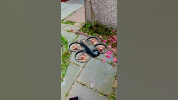 Five Leaves Low Noise Propellers | DJI NEO @DJI #dji #drone