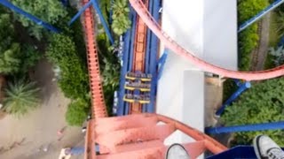 SheiKra roller coaster front row POV at Busch Gardens Tampa
