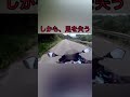 #Shorts 女子高生が峠でバイク事故