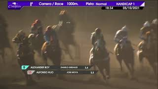 Vidéo de la course PMU PRIX CUMARAL