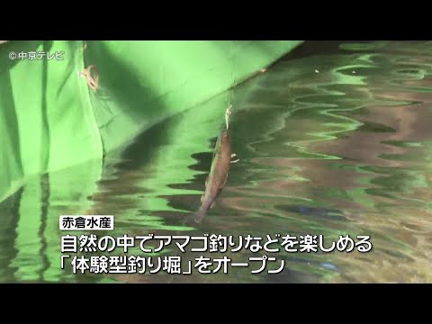 【アマゴの体験型釣り堀】 アマゴの養殖場に 三重・熊野市