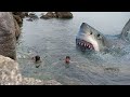 7 Tiburones MAS FURIOSOS que aparecieron de la nada