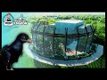 Prehistoric Kingdom Microraptor Aviary - Prehistoric Kingdom Beta | Speed Build.