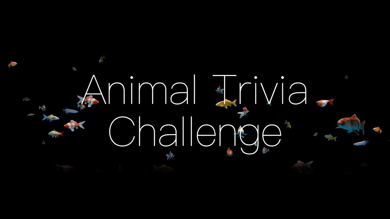20 Difficult Animal Trivia Questions!! YouTube