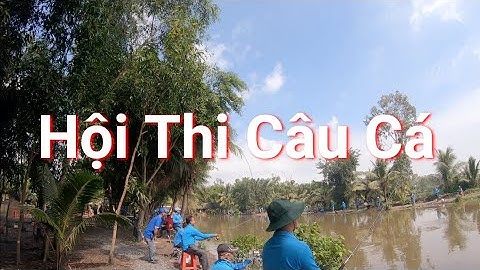 GIẢI CÂU RÊ CÁ LÓC GẦN 100 CẦN THỦ THAM GIA | HỒ CÂU CÁ GIẢI TRÍ ĐẠI QUANG MINH