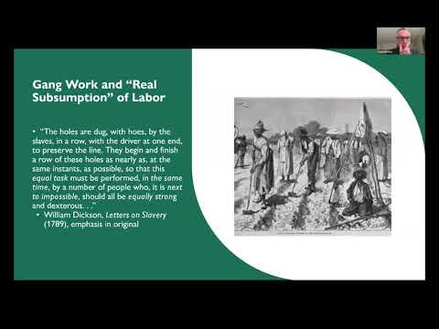 David McNally - Slavery and Capitalism: A New Marxist History.