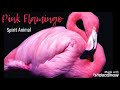 Pink Flamingo-Spirit Animal
