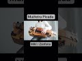Muiñeira Picada / Zanfona ( Hurdy Gurdy )