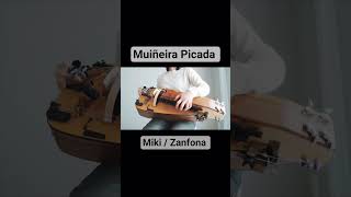 Muiñeira Picada / Zanfona ( Hurdy Gurdy )