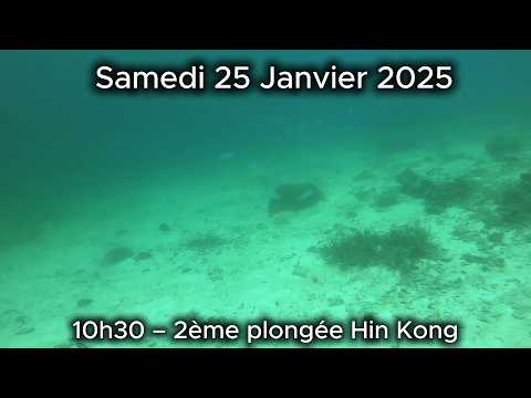 PLONGEE 2 HIN KONG THAILANDE 2025