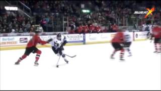 ECHL Plays of the Week - Jan 30-Feb. 4, 2017
