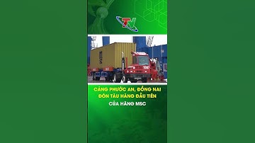 Cảng Phước An, Đồng Nai đón tàu hàng đầu tiên của hang MSC | Thái Nguyên TV