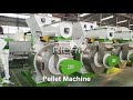 How to Produce Biomass Pellets with Biomass Pellet Machine - Richi Machinery