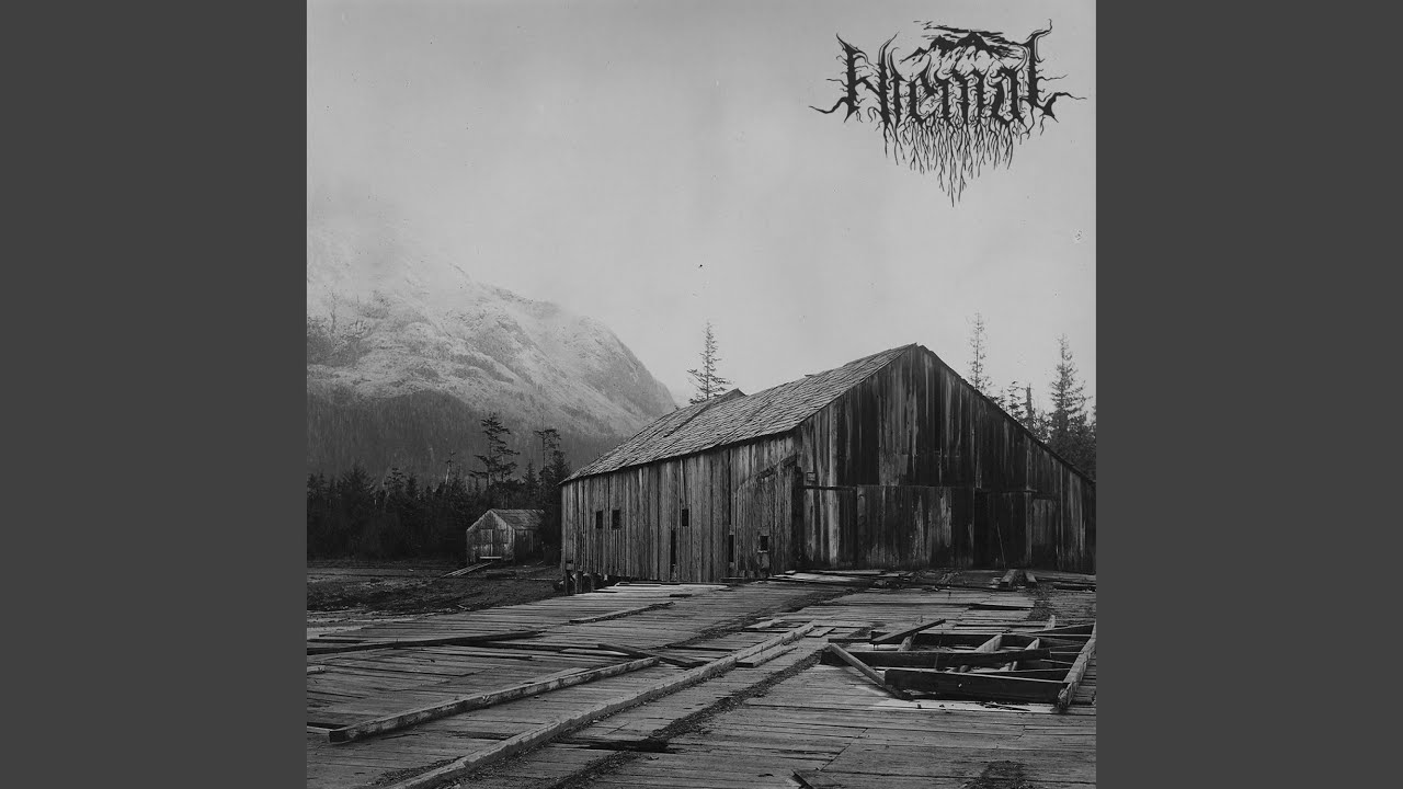 Falling Into Oblivion YouTube