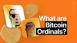 How To Understand Bitcoin Ordinals Complete Guide