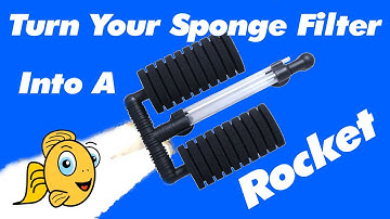 Can We Improve A Sponge Filter? - Upgrade