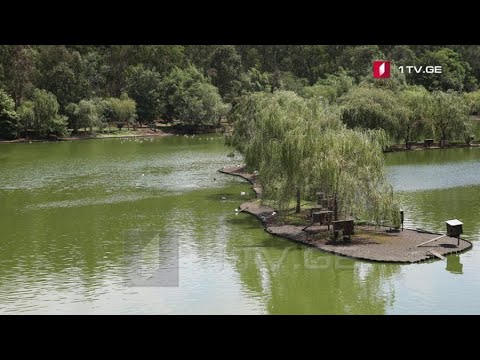 დენდროლოგიური პარკი გაიხსნა