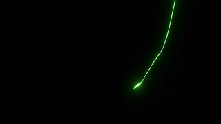 Blender Soft Body Line #blender screenshot 3