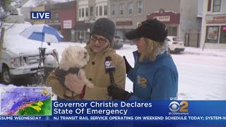 It's A Dog's Life In Montclair, NJ During Storm