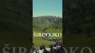 Neoplanta Delikates - Da spojimo stolove - Svadba 20""