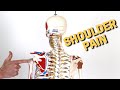 Change This One  Simple Thing Or Your Shoulder Pain NEVER Goes Away