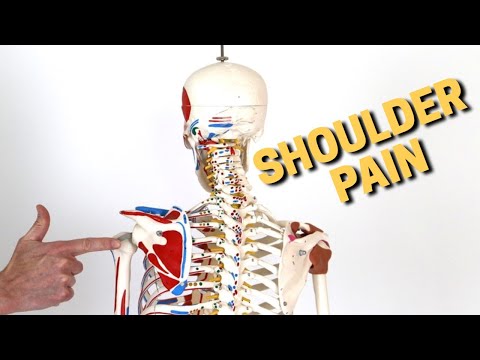 Video: What Pain Never Goes Away