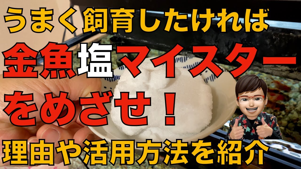 金魚飼育には必須の塩の活用方法を紹介（普通の塩水浴だけじゃない！）